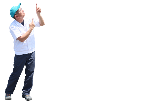 豊富なランチ